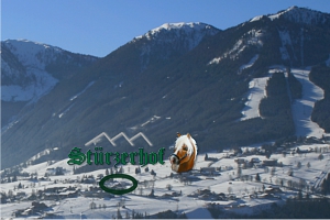 Lage Sürzerhof in Rohrmoos